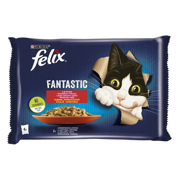   Konservuotas kačių ėdalas"Felix Fantas." su padažu4x85g